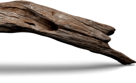 Menstrues Parlons-en